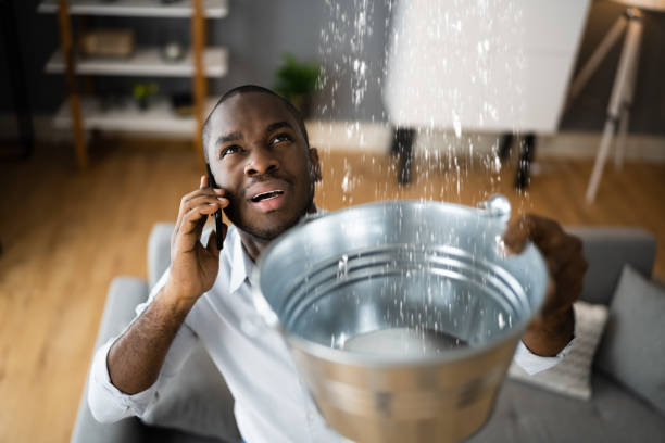Best Water damage restoration specialists  in Reform, AL