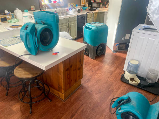 Best Professional water damage repair  in Reform, AL