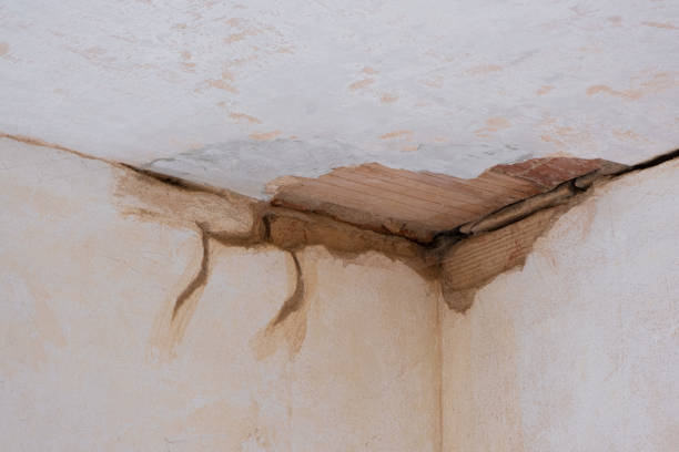 Best Water damage restoration near me  in Reform, AL