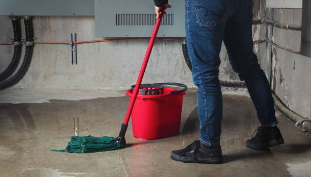 Best Water damage cleanup near me  in Reform, AL