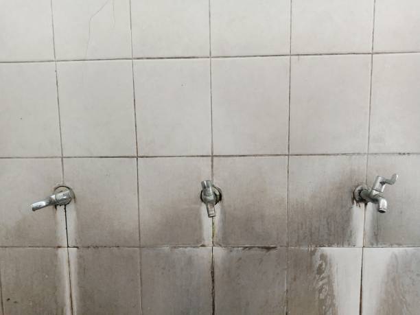 Carpet water damage restoration in Reform, AL