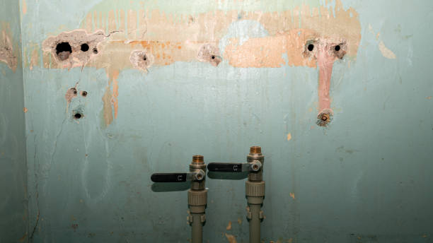 Best Water damage repair service  in Reform, AL