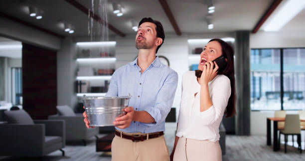 Best Local water damage restoration  in Reform, AL