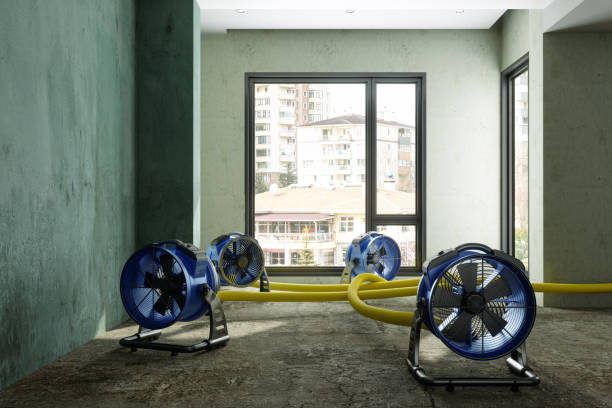  Reform, AL Water damage restoration Pros